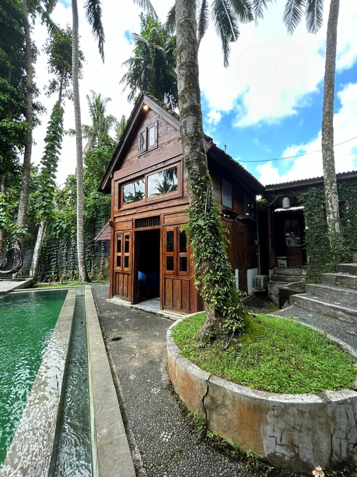 Tirta Padi Villa Ubud Εξωτερικό φωτογραφία